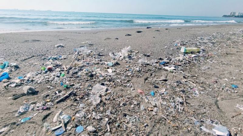 Do�u Akdeniz b�y�k bir ekolojik tehditle kar�� kar��ya!