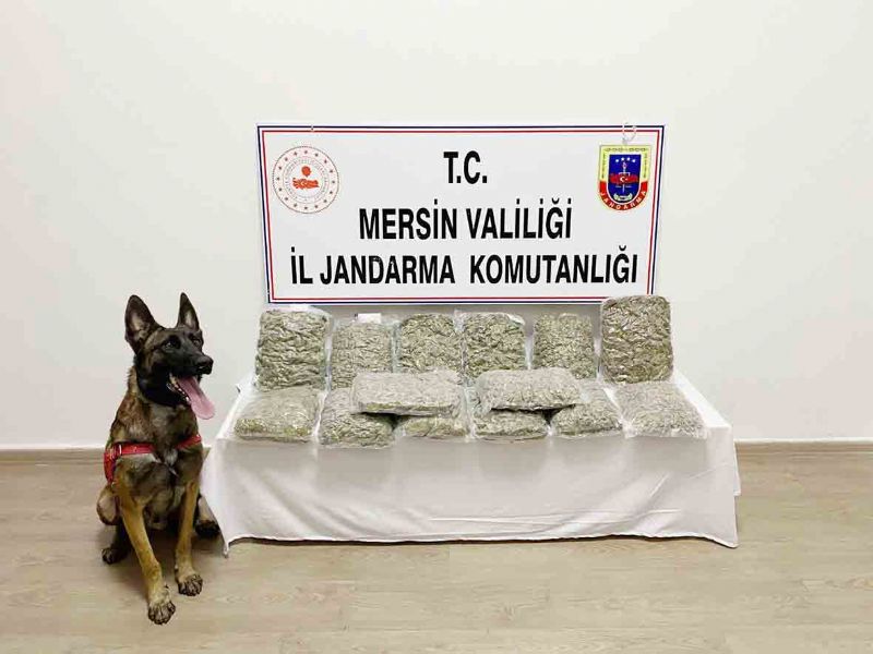 Mersinde skunk operasyonlar sryor...