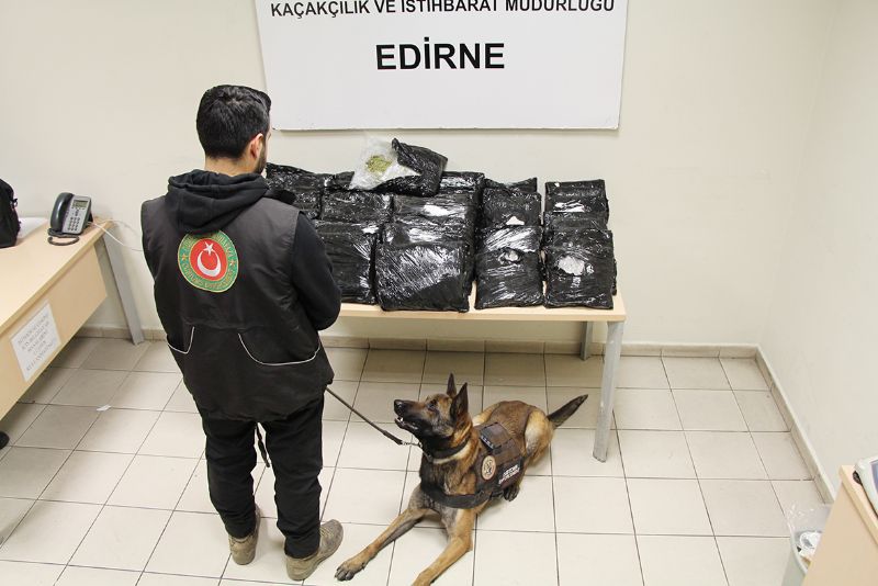 Gmrkte kaaa geit yok...