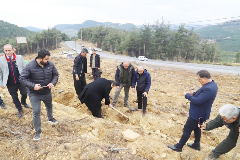 Uluslararas� kooperatifler y�l� an�s�na hat�ra orman�...