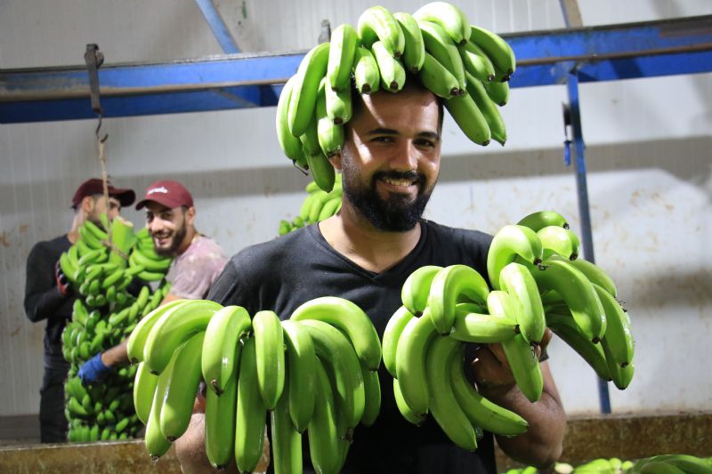 Anamur muzu i�in  7 ayda 34 kez  fiyat yenilemesi �nerildi!...