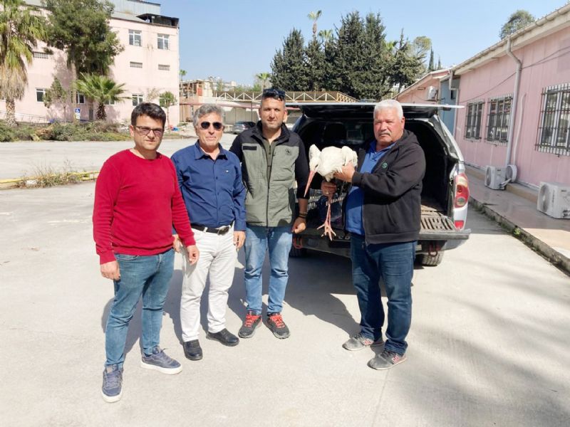 Yaral leylek ormanclar tarafndan kurtarld...