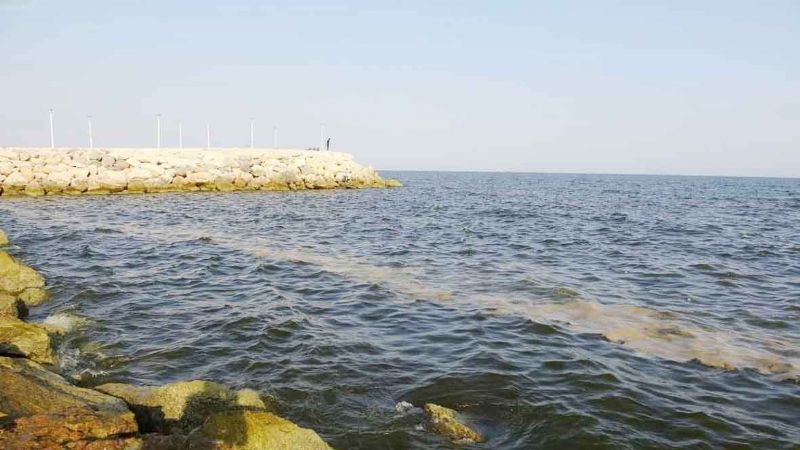B�Y�K�EH�R�E �A�RI �BU SU�A ORTAK OLMAYIN�...