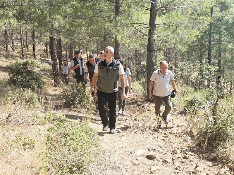 Silifke ormanlar�na verimlilik incelemesi...
