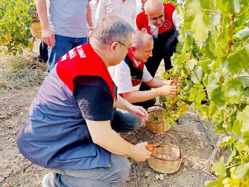 Tarsus Tarm Kampsnde zm hasad cokusu...