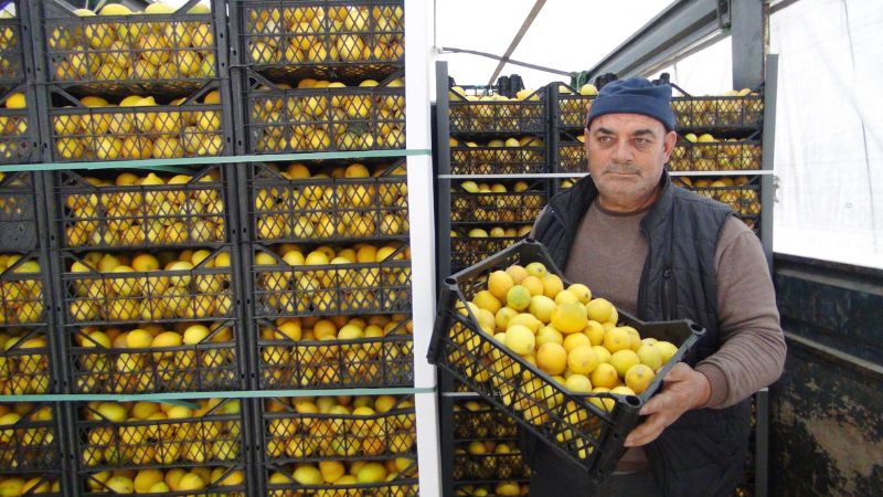 Mersinden Aksaraya  20 ton cretsiz limon gnderildi...