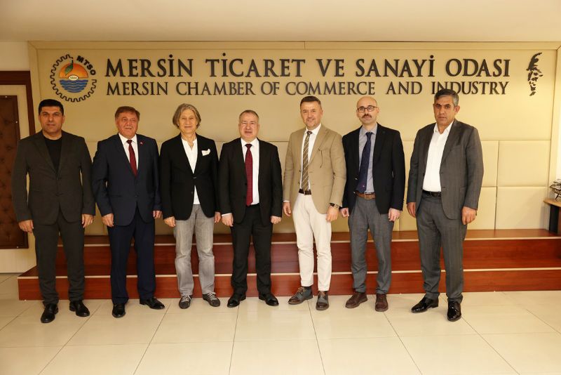 Hedef; vergide  kay�t d���n�n �n�ne ge�mek...