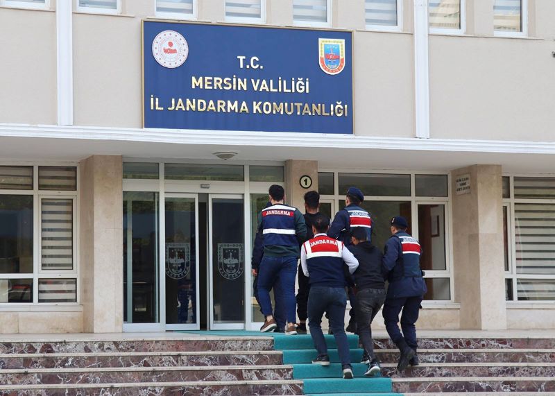 MT ve Jandarmadan terr operasyonu...