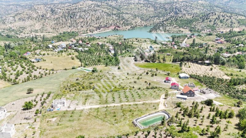 TBMMden Arslanky tepkisi...