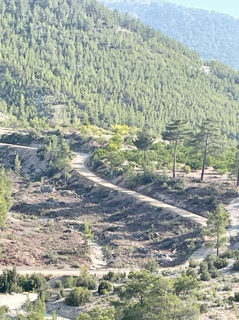 Ormanda yol almalar sryor...