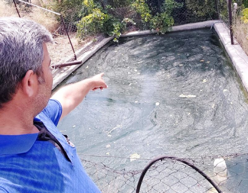 Mersin itfaiyesinden ilgin� kurtarma...