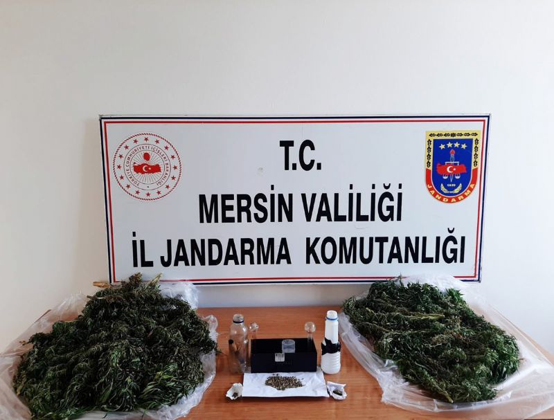 Yasa d kenevir ekimi yapan ahslar yakaland...
