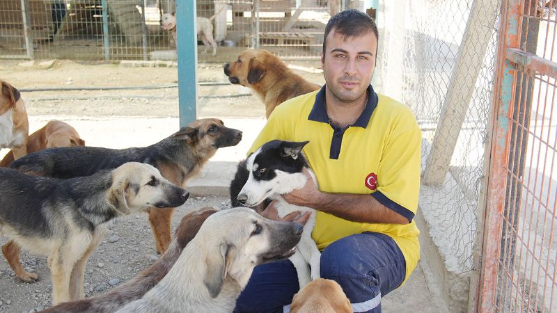 Uurumun kenarnda mahsur kalan hayvanlar kurtarld...