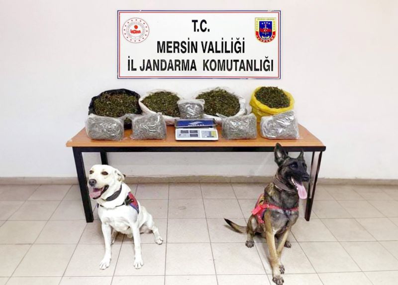 Jandarma zehir tacirlerine  gz atrmyor...