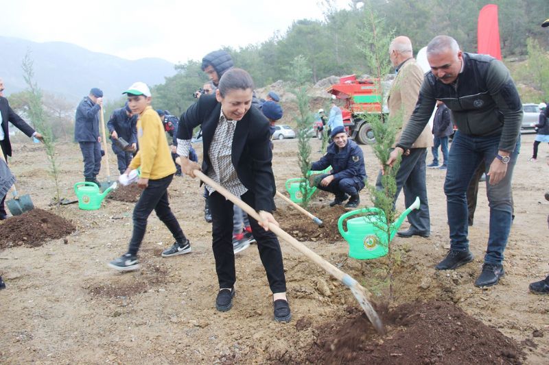 Ormanclk Gn fidan dikilerek kutland ...