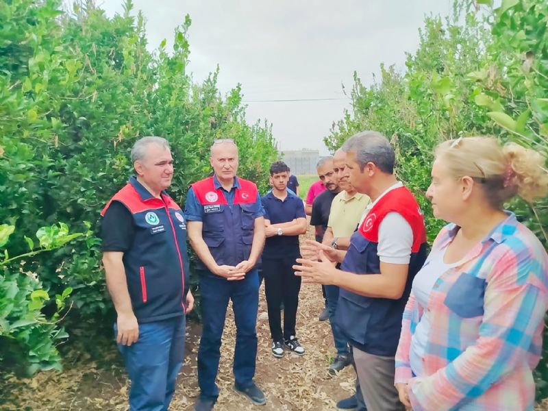 Akdeniz meyve sineine kar ekipler sahada...