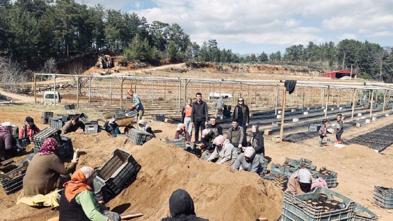 Ormanclardan Anamur fidanlk efliine ziyaret...