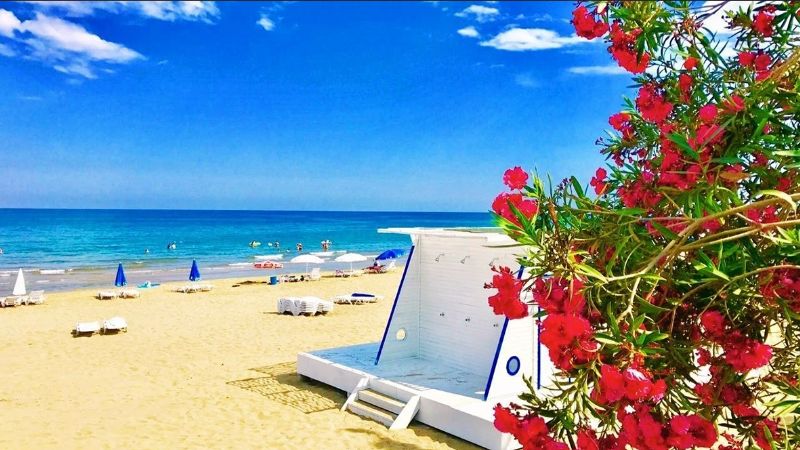 Kom�uda 232,  Mersin�de 12 tane!