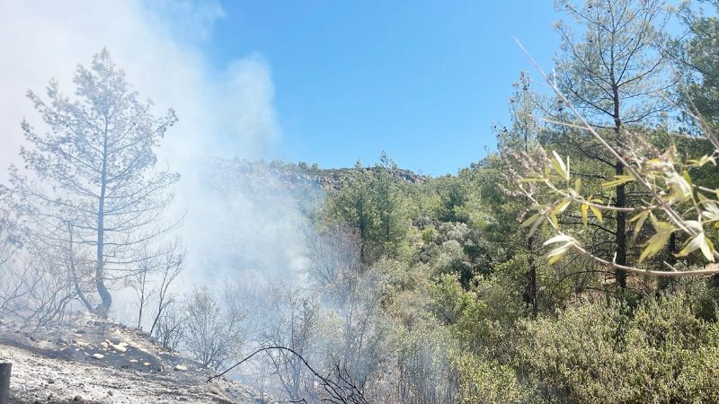 Orman yang�nlar� ile  m�cadele ihale bilmecesi!...