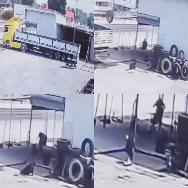 Cinayet gibi kaza iin effaf soruturma ars