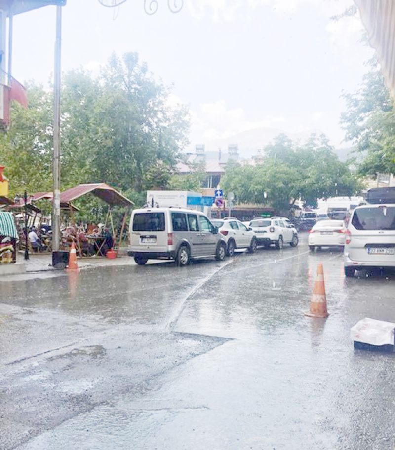 Ya���lara kar��  �aml�yayla i�in �nlem �a�r�s�! ...