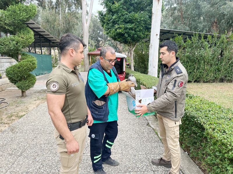 Tuzaa taklan kuu polis kurtard...