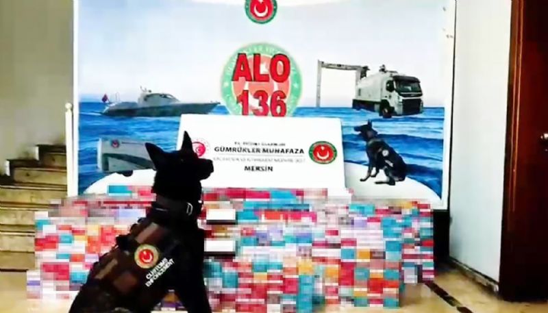Mersin Limannda  dev operasyon