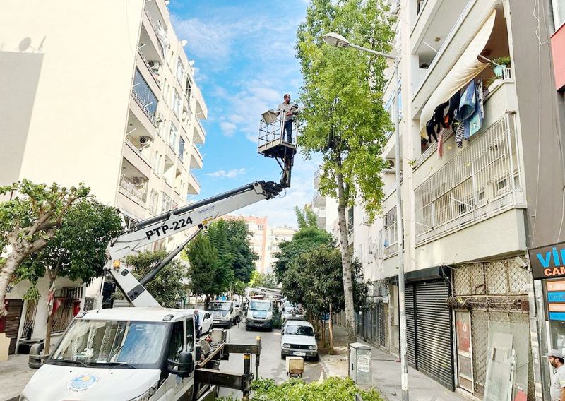 Akdenizde budama almalar sryor...