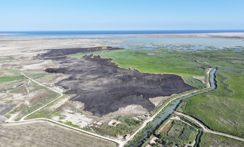 �G�ksu Deltas� yang�nlarla  tar�m alan�na d�n��t�r�l�yor�