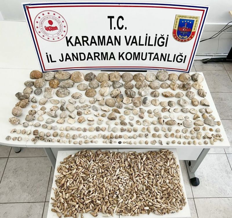 Bitki ve fosilleri Mersin’de satacakt...