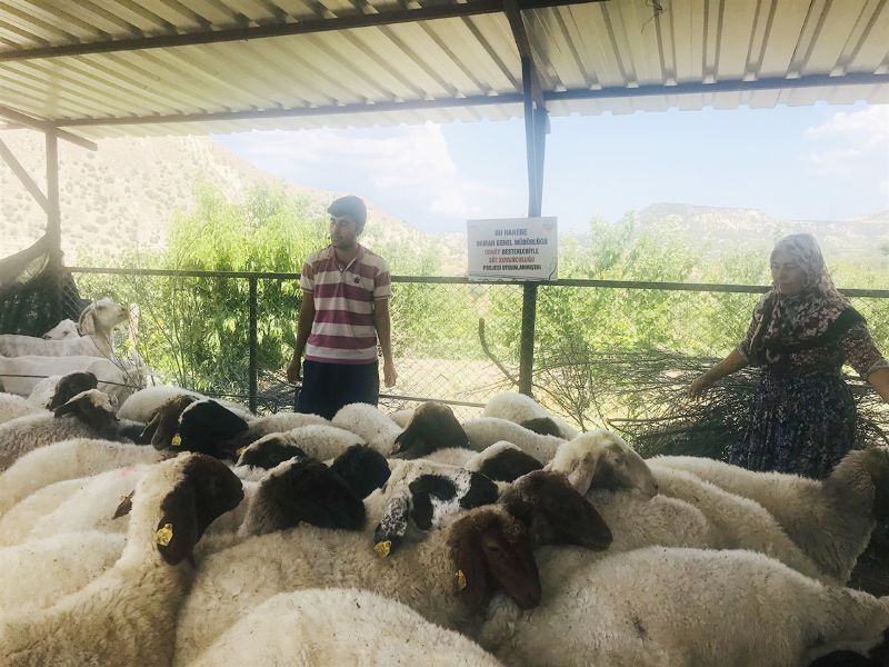 Mersinde orman kylsne  34 milyon 993 TL  kredi destei saland...