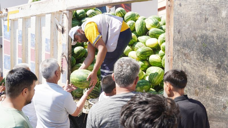 Mezitlide 36 ton karpuz cretsiz datld...