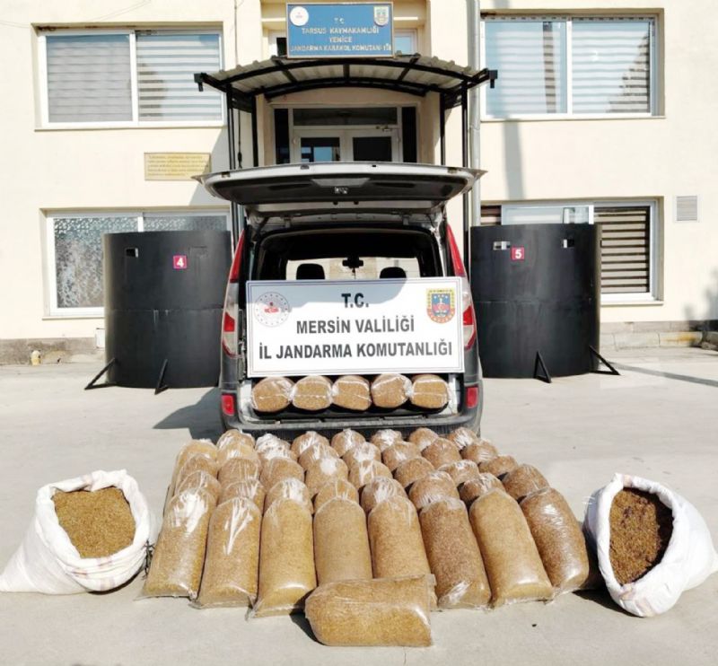 Mersin’de 455 kilo kaak ttn ele geirildi...