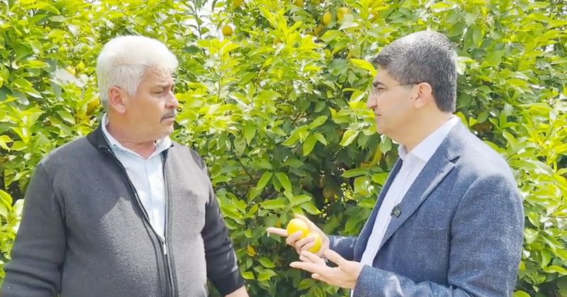 Dalnda kalan narenciye iin destek ars...