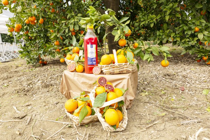 Mersin kan portakal� co�rafi i�aret ald�...