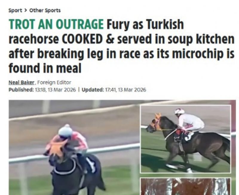 �ngiliz bas�n�nda g�ndem:  Mersin�de kavurma yap�lan �ampiyon at