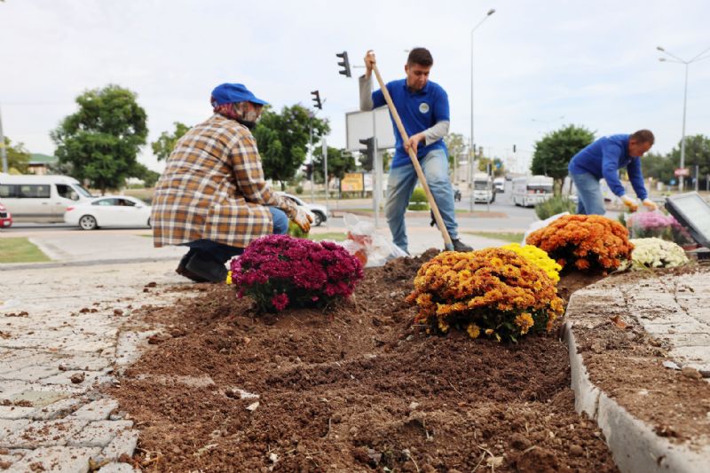 Toroslarn yeil alanlar kasmpat ile renklendi...