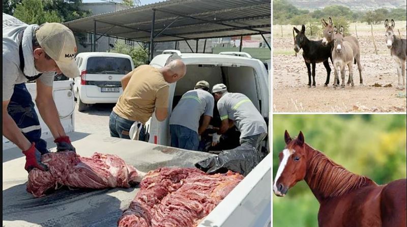 MERS�N�DE Y�NE AT ET� SKANDALI YA�ANDI!...