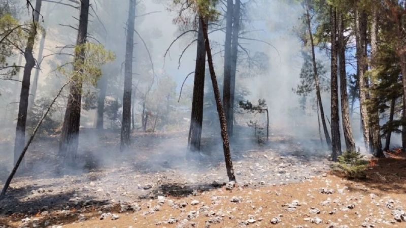 Bozyaz��da ��kan orman yang�n� s�nd�r�ld�...