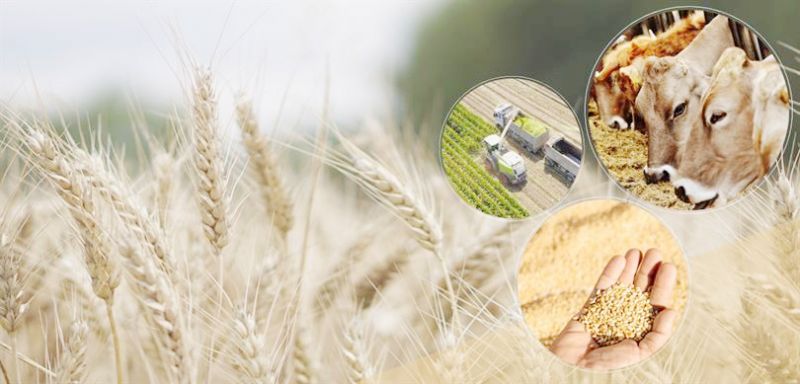 �En �ansl�� 103 birlik aras�nda Mersin�den iki isim var!...