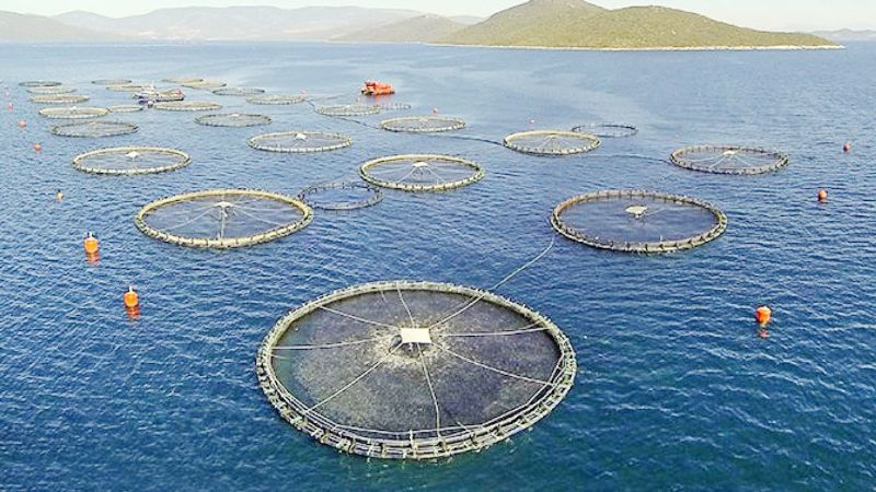 Bal�k �iftliklerine kar�� TBMM�ye ara�t�rmas� �nergesi...