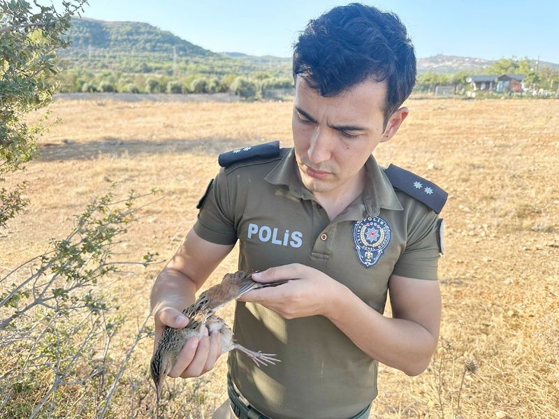 Nesli tkenen kuu avclardan polis kurtard...