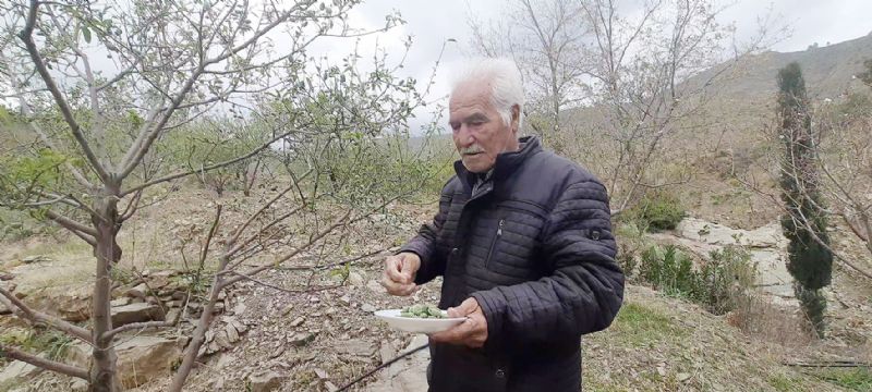 Silifke’de badem alas hasad balad...