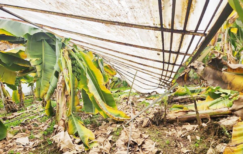 Afet ma�duru �ift�inin  g�z� hasar tespitinde ...