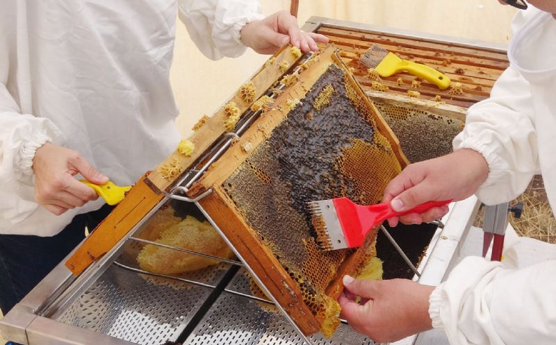 Akademi Mersinde, kk bal reticileri iin bulutu...