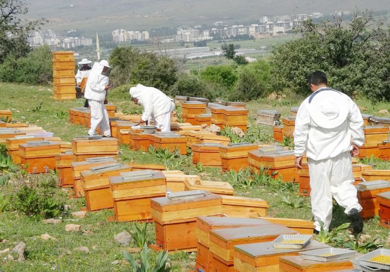 Arclardan tarmsal retime ilalama uyars!...