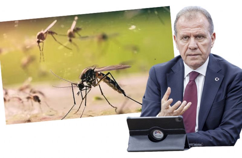 S�NEKLER  MEMNUN�YETLE  U�UYOR!