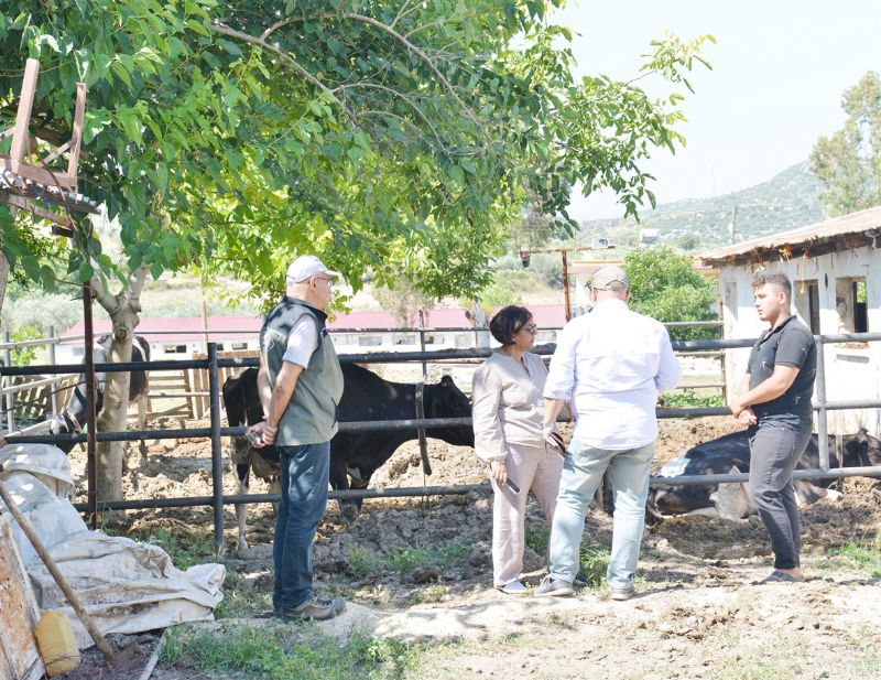 Dnya Bankasndan Mersinde ormanclara ziyaret...