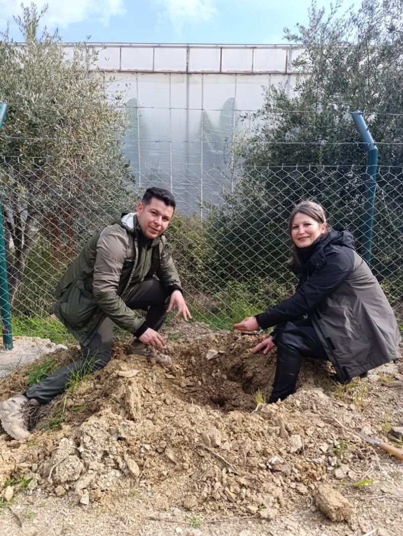 Mezarlklar aalandrlyor...
