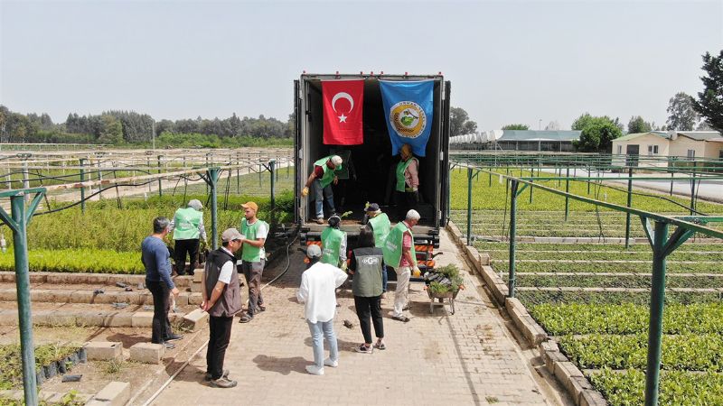 Azerbaycann fidanlar Mersinden...